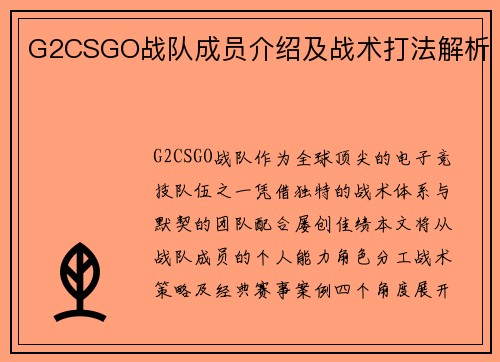 G2CSGO战队成员介绍及战术打法解析
